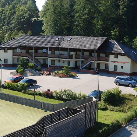 Tx Hotel Hostinné المظهر الخارجي الصورة